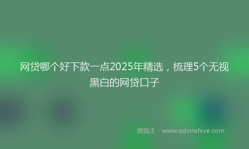 网贷哪个好下款一点2025年精选，梳理5个无视黑白的网贷口子