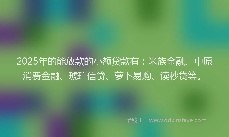 2025年的能放款的小额贷款有：米族金融、中原消费金融、琥珀信贷、萝卜易购、读秒贷等。
