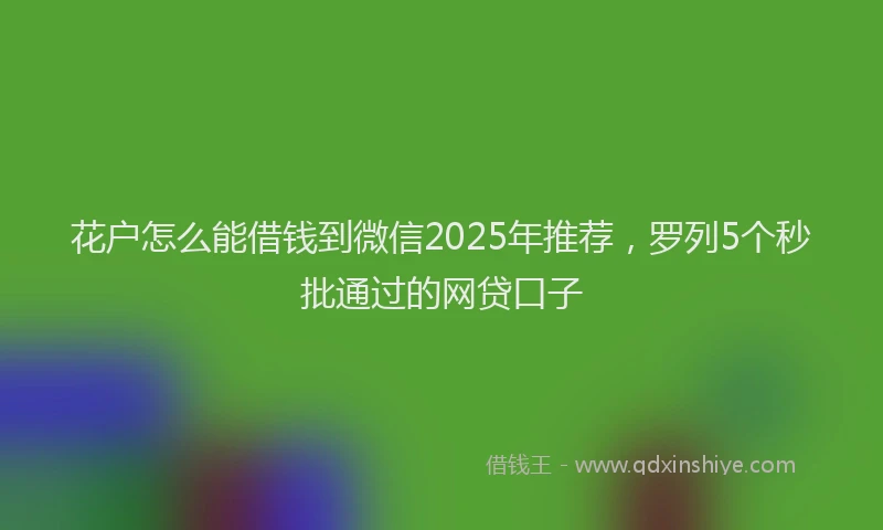 花户怎么能借钱到微信2025年推荐，罗列5个秒批通过的网贷口子