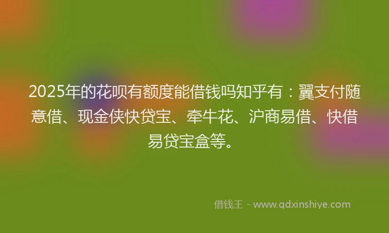 2025年的花呗有额度能借钱吗知乎有：翼支付随意借、现金侠快贷宝、牵牛花、沪商易借、快借易贷宝盒等。