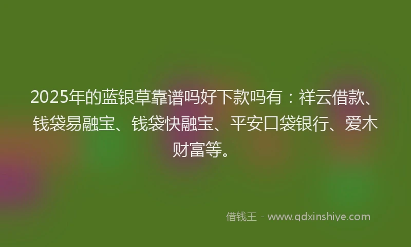 2025年的蓝银草靠谱吗好下款吗有：祥云借款、钱袋易融宝、钱袋快融宝、平安口袋银行、爱木财富等。