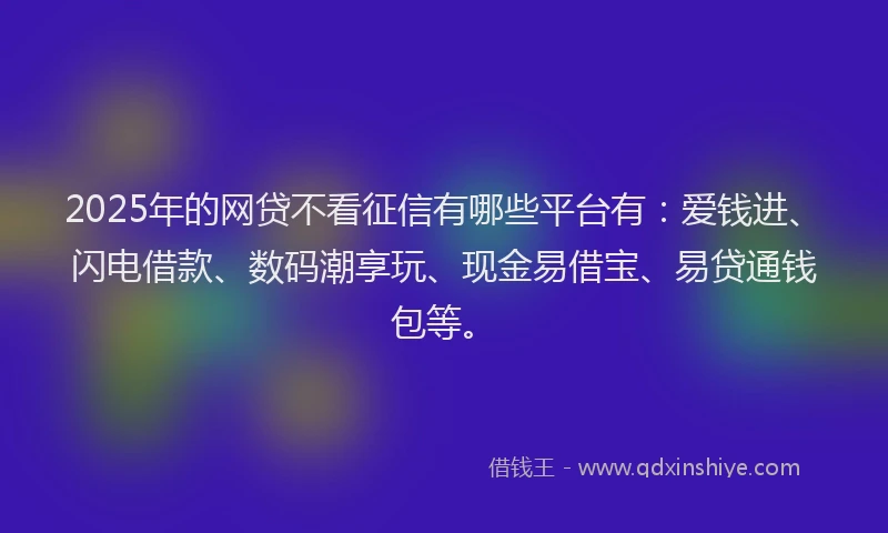 2025年的网贷不看征信有哪些平台有：爱钱进、闪电借款、数码潮享玩、现金易借宝、易贷通钱包等。