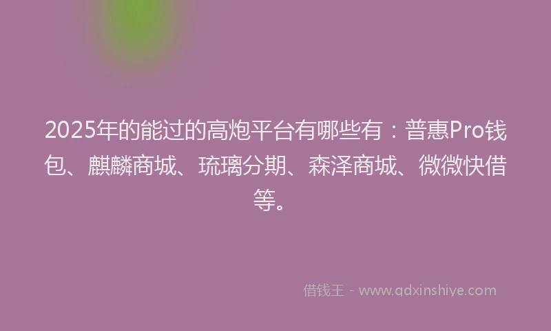 2025年的能过的高炮平台有哪些有：普惠Pro钱包、麒麟商城、琉璃分期、森泽商城、微微快借等。