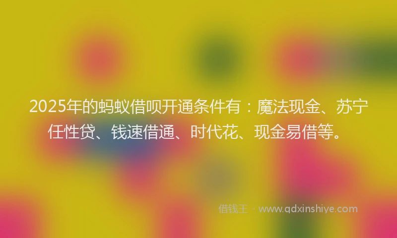 2025年的蚂蚁借呗开通条件有：魔法现金、苏宁任性贷、钱速借通、时代花、现金易借等。