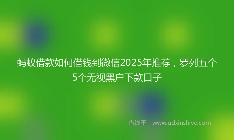 蚂蚁借款如何借钱到微信2025年推荐，罗列五个5个无视黑户下款口子