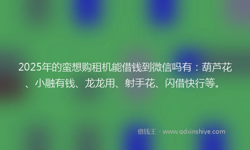 2025年的蛮想购租机能借钱到微信吗有：葫芦花、小融有钱、龙龙用、射手花、闪借快行等。