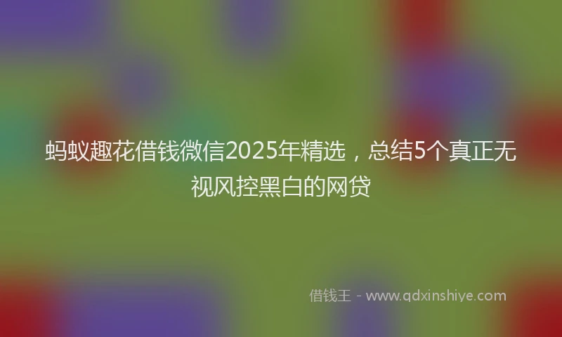 蚂蚁趣花借钱微信2025年精选，总结5个真正无视风控黑白的网贷