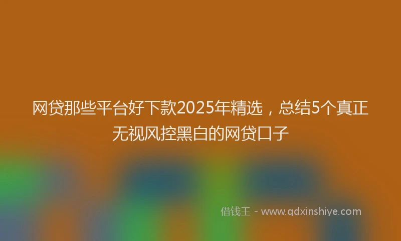 网贷那些平台好下款2025年精选，总结5个真正无视风控黑白的网贷口子