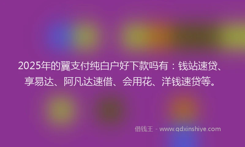 2025年的翼支付纯白户好下款吗有：钱站速贷、享易达、阿凡达速借、会用花、洋钱速贷等。