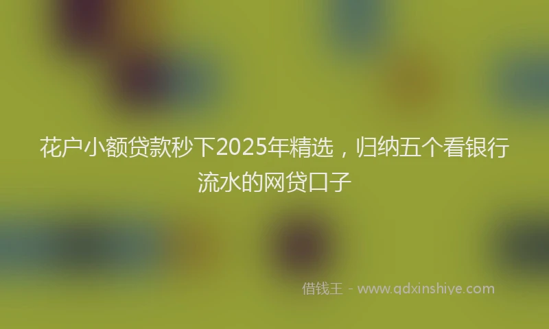花户小额贷款秒下2025年精选，归纳五个看银行流水的网贷口子