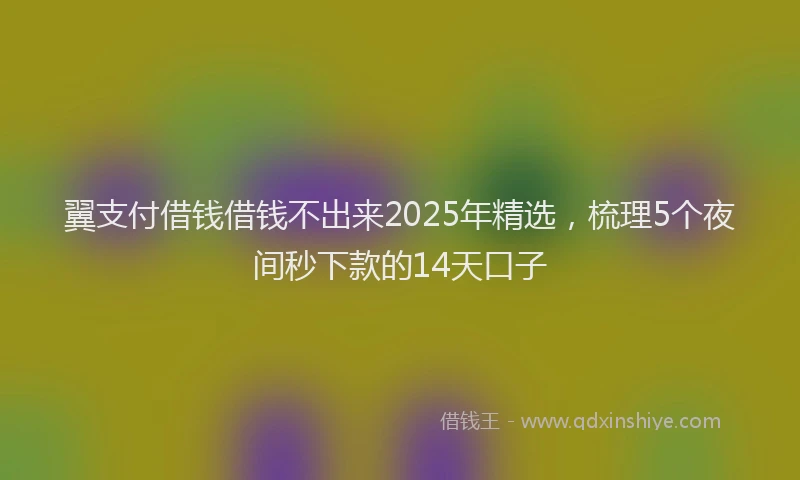 翼支付借钱借钱不出来2025年精选，梳理5个夜间秒下款的14天口子