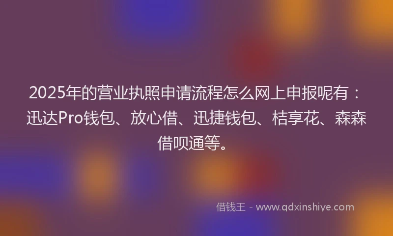 2025年的营业执照申请流程怎么网上申报呢有：迅达Pro钱包、放心借、迅捷钱包、桔享花、森森借呗通等。