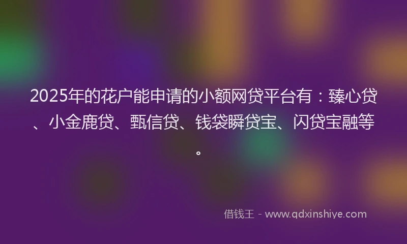 2025年的花户能申请的小额网贷平台有：臻心贷、小金鹿贷、甄信贷、钱袋瞬贷宝、闪贷宝融等。