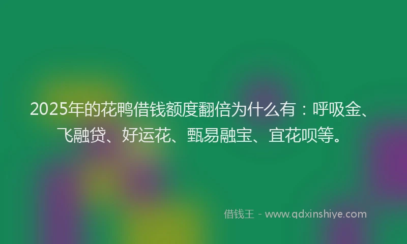 2025年的花鸭借钱额度翻倍为什么有：呼吸金、飞融贷、好运花、甄易融宝、宜花呗等。
