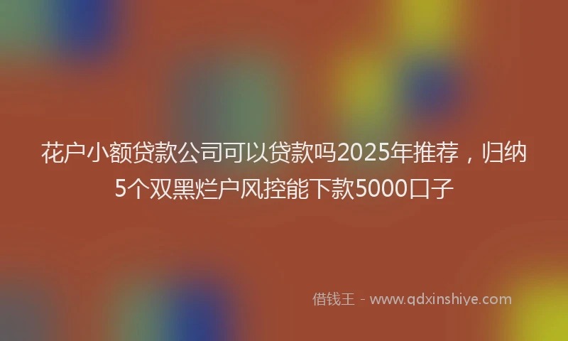 花户小额贷款公司可以贷款吗2025年推荐，归纳5个双黑烂户风控能下款5000口子