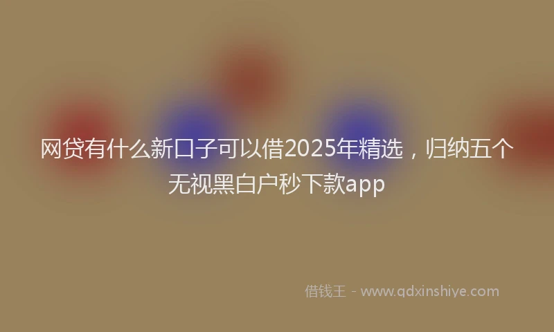 网贷有什么新口子可以借2025年精选，归纳五个无视黑白户秒下款app