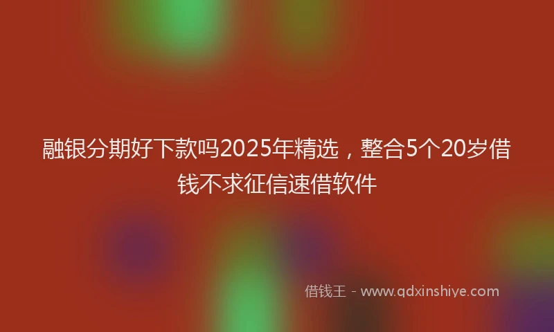 融银分期好下款吗2025年精选，整合5个20岁借钱不求征信速借软件