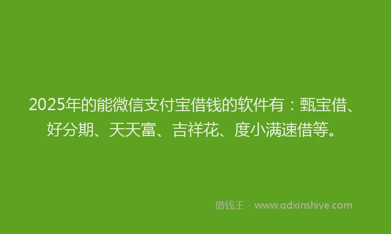 2025年的能微信支付宝借钱的软件有：甄宝借、好分期、天天富、吉祥花、度小满速借等。