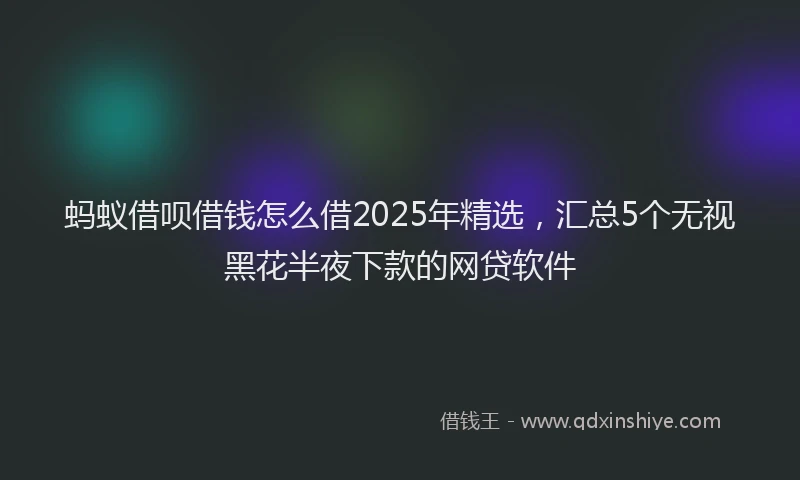 蚂蚁借呗借钱怎么借2025年精选，汇总5个无视黑花半夜下款的网贷软件