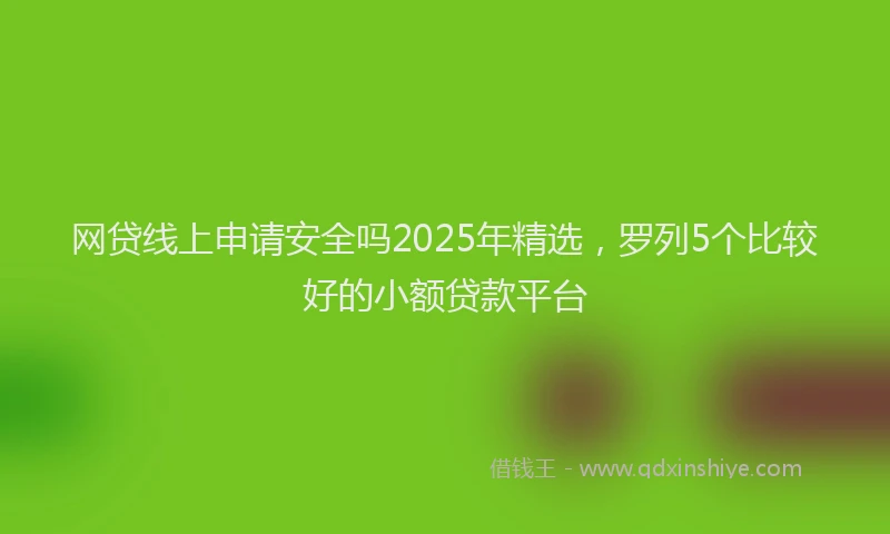 网贷线上申请安全吗2025年精选，罗列5个比较好的小额贷款平台