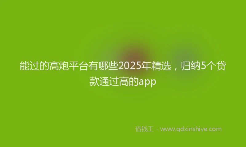 能过的高炮平台有哪些2025年精选，归纳5个贷款通过高的app