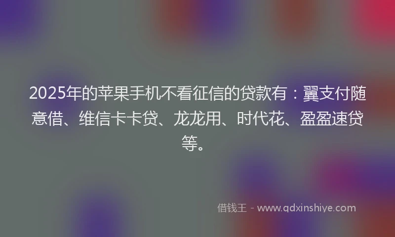 2025年的苹果手机不看征信的贷款有：翼支付随意借、维信卡卡贷、龙龙用、时代花、盈盈速贷等。