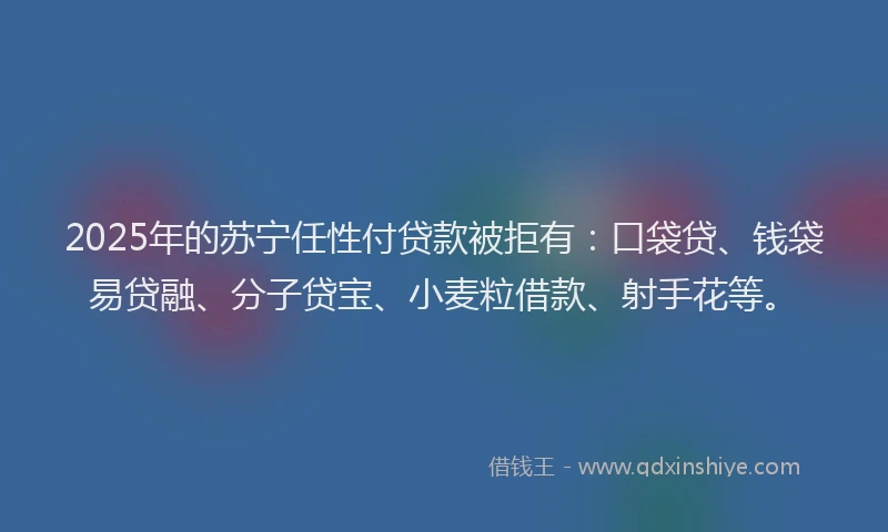 2025年的苏宁任性付贷款被拒有：口袋贷、钱袋易贷融、分子贷宝、小麦粒借款、射手花等。