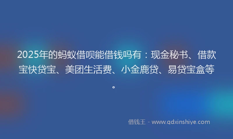 2025年的蚂蚁借呗能借钱吗有：现金秘书、借款宝快贷宝、美团生活费、小金鹿贷、易贷宝盒等。