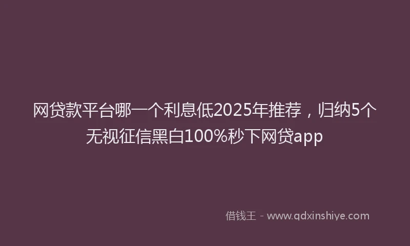 网贷款平台哪一个利息低2025年推荐，归纳5个无视征信黑白100%秒下网贷app