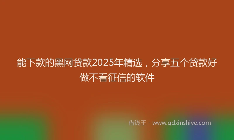能下款的黑网贷款2025年精选，分享五个贷款好做不看征信的软件