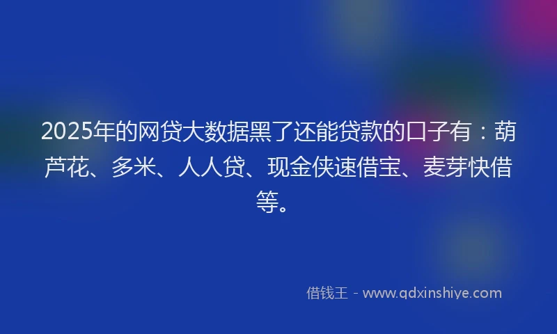 2025年的网贷大数据黑了还能贷款的口子有：葫芦花、多米、人人贷、现金侠速借宝、麦芽快借等。