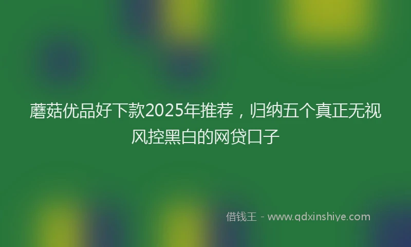 蘑菇优品好下款2025年推荐，归纳五个真正无视风控黑白的网贷口子