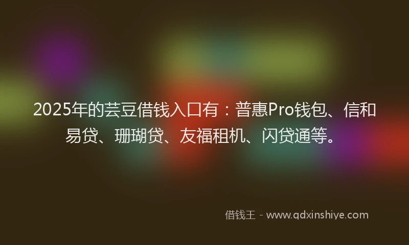2025年的芸豆借钱入口有：普惠Pro钱包、信和易贷、珊瑚贷、友福租机、闪贷通等。