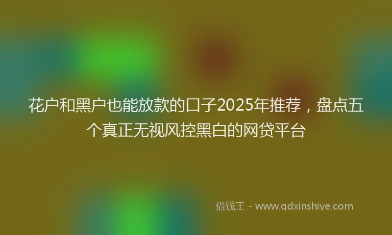花户和黑户也能放款的口子2025年推荐，盘点五个真正无视风控黑白的网贷平台