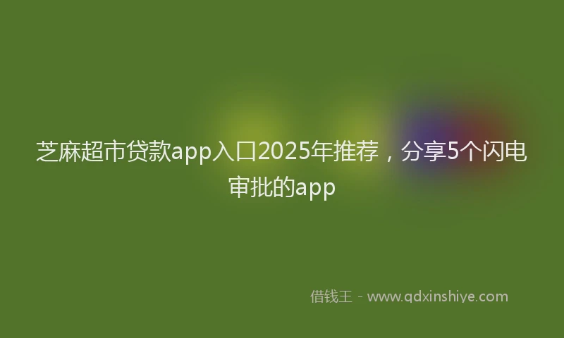 芝麻超市贷款app入口2025年推荐，分享5个闪电审批的app