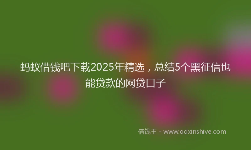 蚂蚁借钱吧下载2025年精选，总结5个黑征信也能贷款的网贷口子