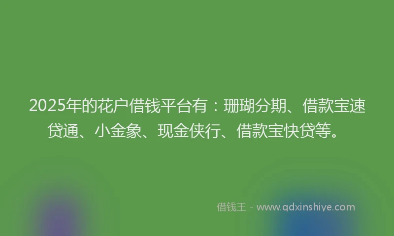 2025年的花户借钱平台有：珊瑚分期、借款宝速贷通、小金象、现金侠行、借款宝快贷等。