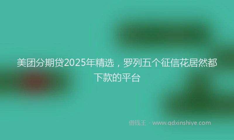 美团分期贷2025年精选，罗列五个征信花居然都下款的平台