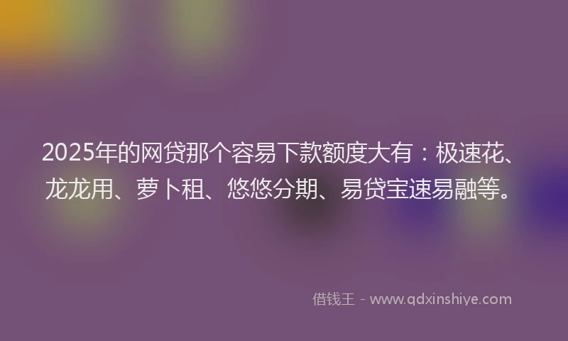 2025年的网贷那个容易下款额度大有：极速花、龙龙用、萝卜租、悠悠分期、易贷宝速易融等。