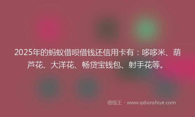 2025年的蚂蚁借呗借钱还信用卡有：哆哆米、葫芦花、大洋花、畅贷宝钱包、射手花等。