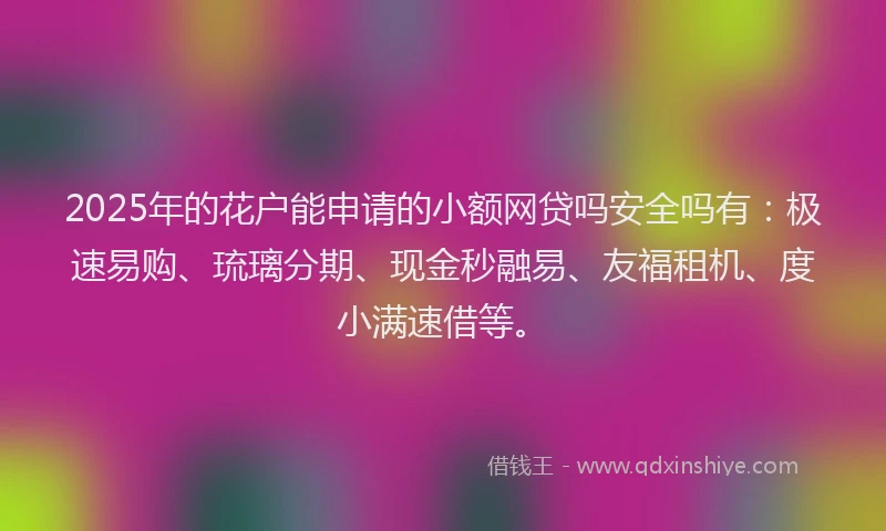 2025年的花户能申请的小额网贷吗安全吗有：极速易购、琉璃分期、现金秒融易、友福租机、度小满速借等。