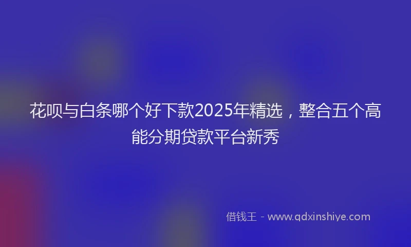 花呗与白条哪个好下款2025年精选，整合五个高能分期贷款平台新秀