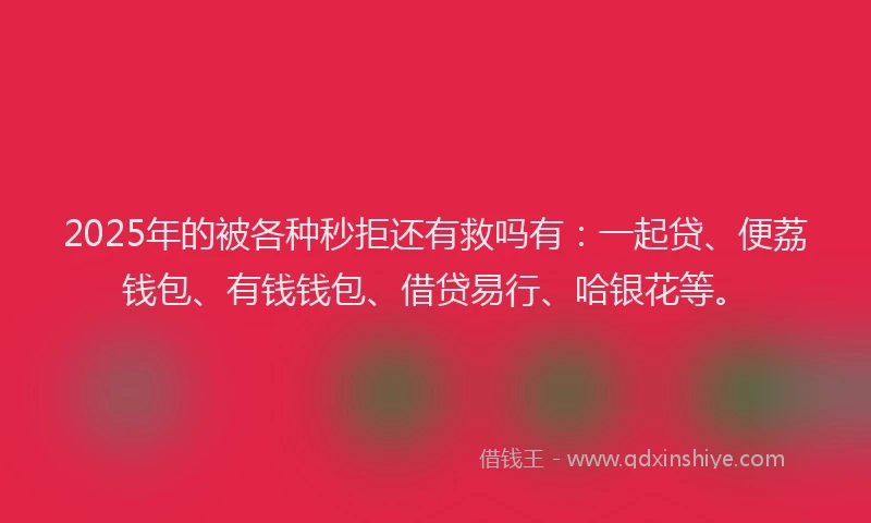 2025年的被各种秒拒还有救吗有：一起贷、便荔钱包、有钱钱包、借贷易行、哈银花等。