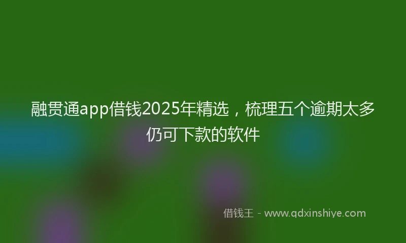融贯通app借钱2025年精选，梳理五个逾期太多仍可下款的软件