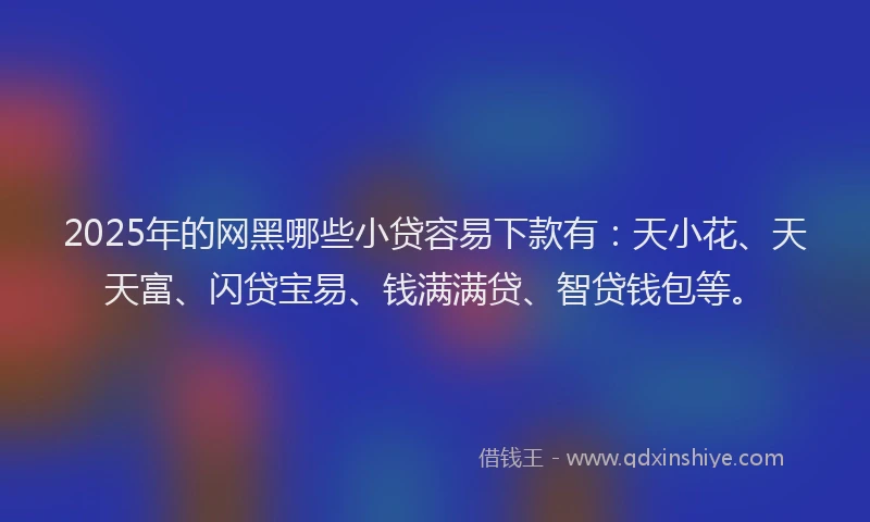 2025年的网黑哪些小贷容易下款有：天小花、天天富、闪贷宝易、钱满满贷、智贷钱包等。