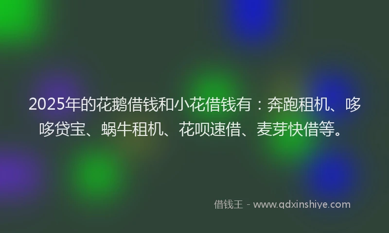 2025年的花鹅借钱和小花借钱有：奔跑租机、哆哆贷宝、蜗牛租机、花呗速借、麦芽快借等。
