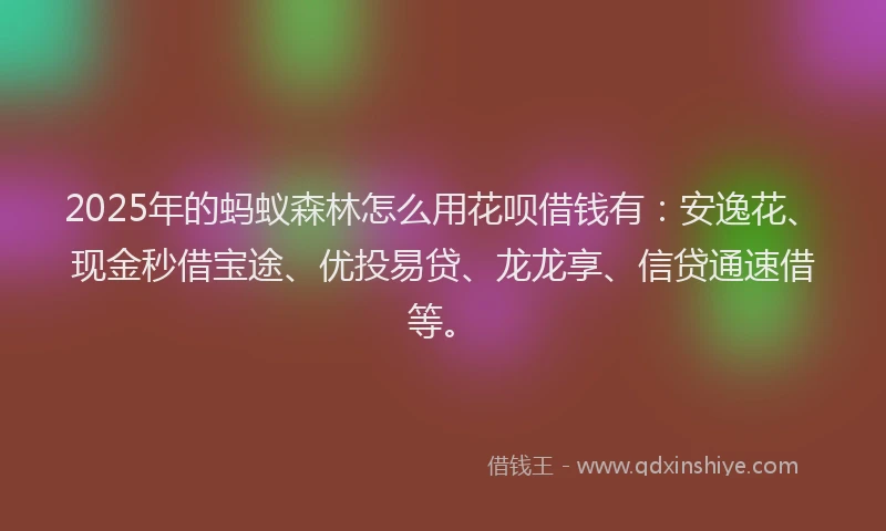 2025年的蚂蚁森林怎么用花呗借钱有：安逸花、现金秒借宝途、优投易贷、龙龙享、信贷通速借等。