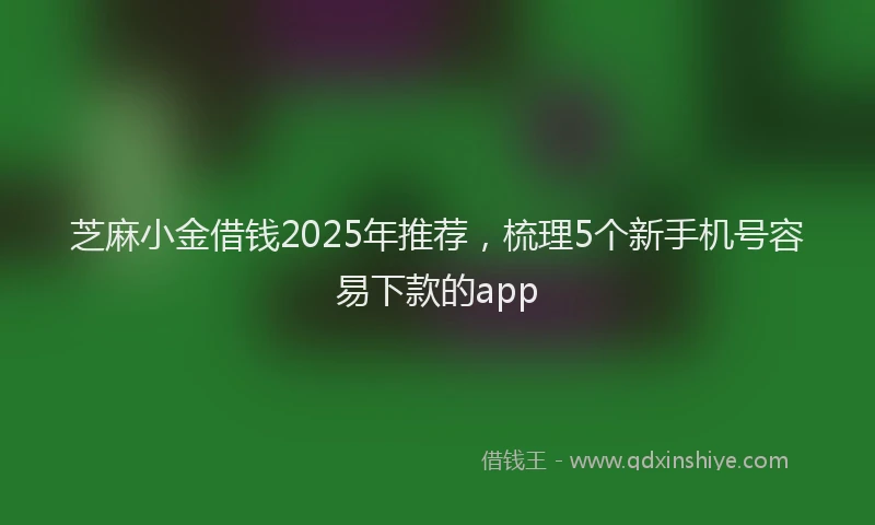 芝麻小金借钱2025年推荐，梳理5个新手机号容易下款的app