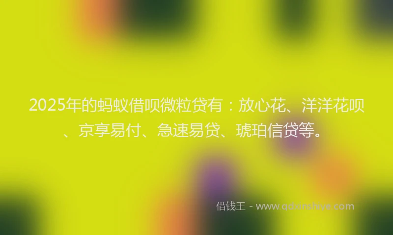 2025年的蚂蚁借呗微粒贷有：放心花、洋洋花呗、京享易付、急速易贷、琥珀信贷等。