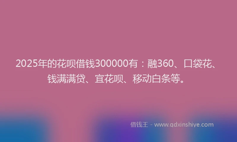 2025年的花呗借钱300000有：融360、口袋花、钱满满贷、宜花呗、移动白条等。